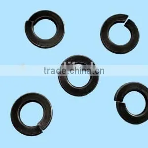 All Kinds of Standard Washer Flat Washer Plain Washer,2016 Hot Sale Manufacturer Stainless Steel DIN125 Plain Washer thumbnail-3