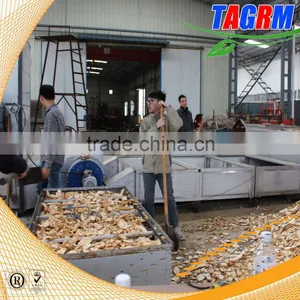 Vegetable Machine of Cassava Chip Dryer and Cassava Drying Machine for Sale thumbnail-2