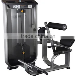 Back Extension Equipment D-1009 thumbnail-2