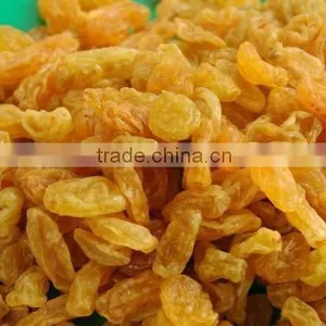 Dried Golden Raisin thumbnail-1