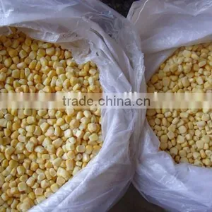 IQF Frozen Sweet Corn Kernels thumbnail-2