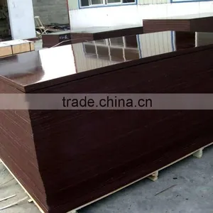Construction Plywood thumbnail-1