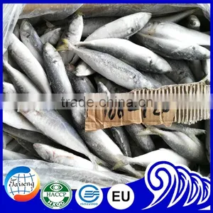 New Arrival Good Quality Frozen Horse Mackerel Fish thumbnail-2