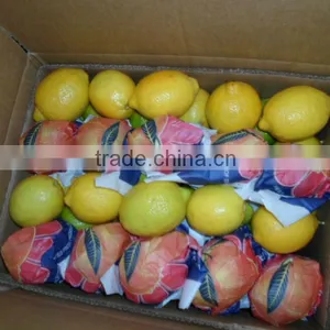 Lemon Adalia thumbnail-1