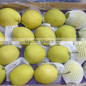 Fresh Shandong Pear 60-70-80 in 15kg Carton thumbnail-2