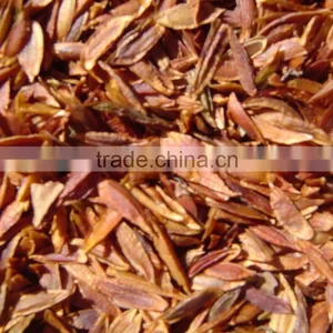 High Sprouting Rate Chinese Lilac Flower Tree Seeds for Planting thumbnail-3