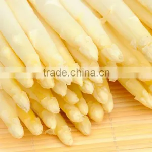 Canned Vegetable White Asparagus With Best Price for French Food thumbnail-1