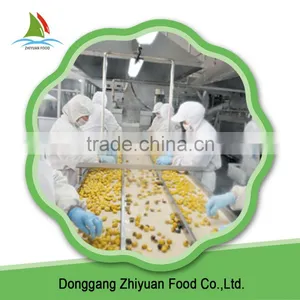 2016 New Crop Peeled Frozen Chestnuts For Sale thumbnail-6