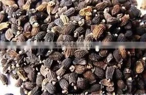 Pharmaceutical Medical Borage Seed Oil Good for Female thumbnail-3