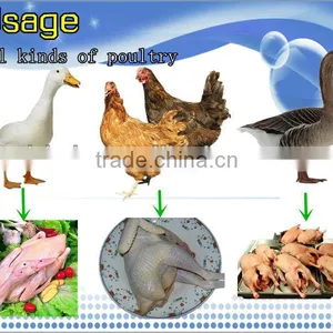 Factory Price HHD CE Approved Poultry Farming Equipment Chicken Plucking Machine/chicken Plucker for Sale NCH-80 thumbnail-4