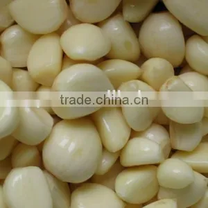 Garlic Peeler Machine/stainless Steel Garlic Peeler/garlic Skin Peeler thumbnail-2