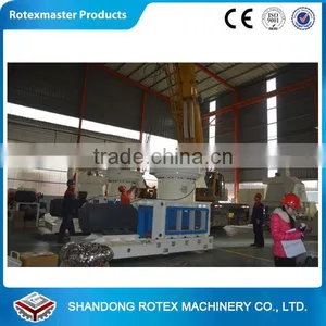 [ROTEX MASTER] 10TON/H Output Rice Husk /Rice Straw / Small Wood Branches Pellet Production Line for Sales thumbnail-3