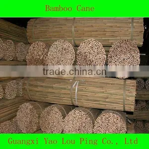Tonkin Bamboo Cane/Cane Bamboo/Bamboo Pole thumbnail-1