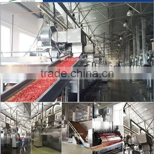 Belt Type Dryer Continuous Processing Clove Drying Machine thumbnail-1