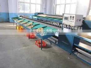 Fruit Vegetbale Apple Orange Grading Machine Sorter Grader Waxing Production Line thumbnail-4