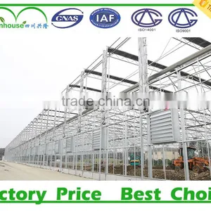 China Supplier Invernadero Agriculture Greenhouse thumbnail-1