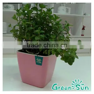 2014 New Product Green Houses and Equipment Plant Pots Wholesale thumbnail-1