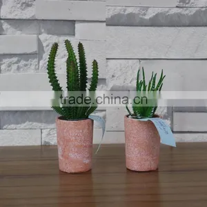 Potted Plastic Mini Succulent Cactus Plant thumbnail-2