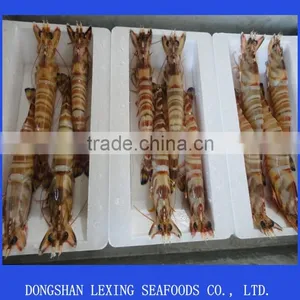 Fresh Frozen Black Tiger Shrimp thumbnail-1