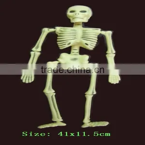 The Human Body Skeleton thumbnail-1