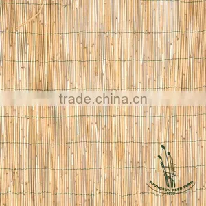 Reed Fence thumbnail-1