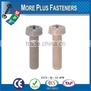 Made in Taiwan Hex Socket Plastic Cap Screw Cross Recess Pan Head Plastic Material Screw thumbnail-2