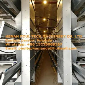 Mexico Chicken Farm H Type Automatic Chicks Cage & Pullet Cage in Brooding Room With Poultry Climate Control thumbnail-2