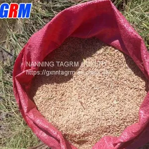 Cheapest Price and Good Quality Mini Paddy Rice Combine Harvester / Rice Reaper Working in Wet Field thumbnail-2