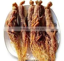 Natue Body Tonic Herb Red Ginseng Root / Panax Ginseng / Ninjin With Tail thumbnail-4
