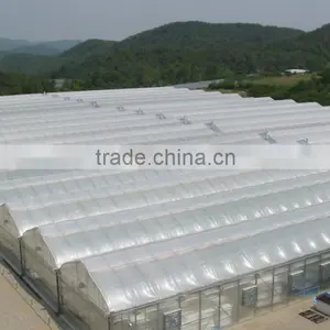 Plastic Film Solar Tunnel Greenhouse thumbnail-3