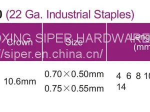 Hardware Fastener Nails Factory Price Durable Quality Model 13series 13/6 13/8 131/6 131/8 Furniture Staples thumbnail-5