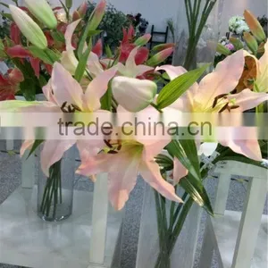PU Artificial Pink Lilium Casa Blanca thumbnail-1