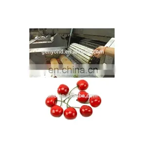 Best Cherry Stem Removing Machine Cherry /fruit Processing Machine thumbnail-1