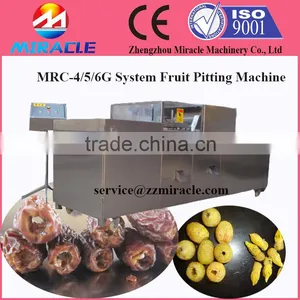 Saudi Arabia Jujube Pitter And Core Remover Machine thumbnail-1