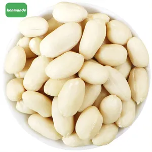 Bulk Blanched Peanut Kernels 25/29 for Snack Roasting thumbnail-5