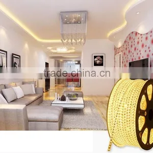 16.4feet 300LEDs 5m 5050SMD 44-key Remote Controller 72w Power Supply Waterproof Led Strip for Christmas Roof Decorations thumbnail-3