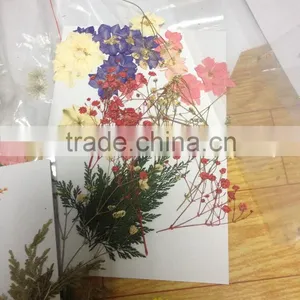 Ladies Love Transparent Flower Mobile Phone Bags Cases for Iphone 6 thumbnail-6