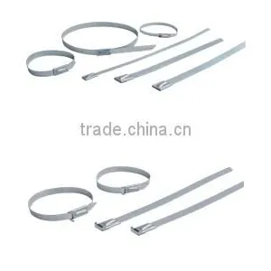 Supply 8*250mm Stainless Steel Cable Tie /Stainless Steel Band thumbnail-4