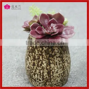 Decorative Artificial Succulent Grow in Succulent Pot thumbnail-1