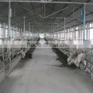 Steel Structure Horse House thumbnail-6