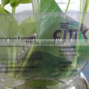 Clear Transparent Pvc Business Cards thumbnail-1