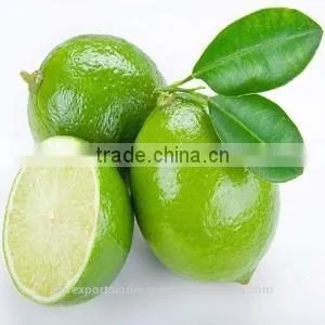 Lime Oil thumbnail-1