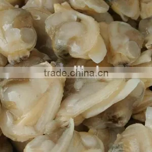 Frozen Shell Clam Meat thumbnail-1