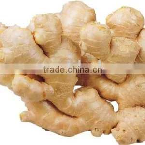 Air Dry Ginger thumbnail-1