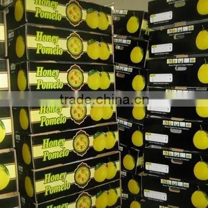 New Crop Pomelo thumbnail-2