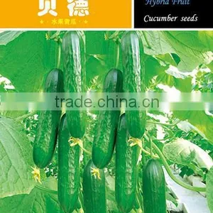 High Yield F1 Hybrid Cucumber Seeds Fruit Cucumber Seeds for Growing-Bei De thumbnail-1