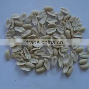 Blanched Peanut Kernels 25/29 thumbnail-1