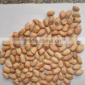Peanuts From Qingdao thumbnail-1