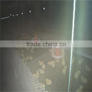 Automatic Chicken Broiler Feeding System thumbnail-2