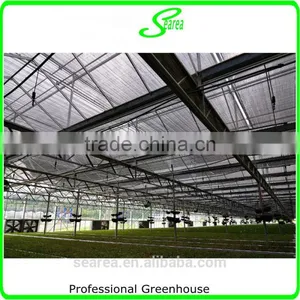 UV Protcetion Polycarbonate Sheet Greenhouse thumbnail-3